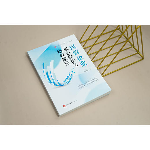 民营企业权益保护与维权途径 秦文涛著 秦文涛著 商品图2