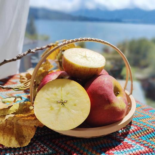 心选丨大凉山高原苹果高海拔苹果糖心率高现摘现发产地直邮 商品图4