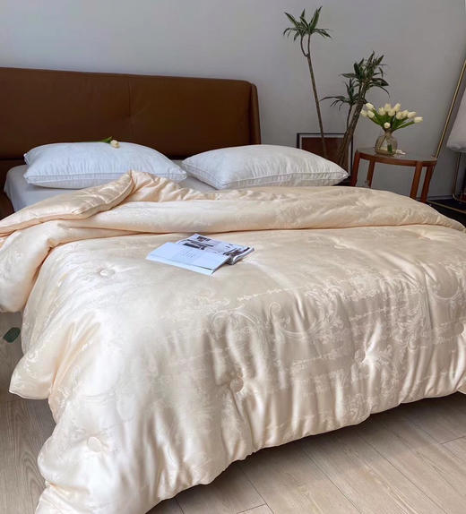 LSN23258大豆抗菌冬被 商品图3