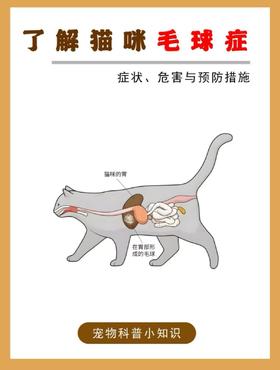 猫咪总吐毛？毛球症的“防与治”，这篇全说透了！