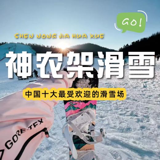 【 神农架滑雪二日游 】探秘神农架，用一场滑雪解锁冬日狂欢～～～～ 商品图0