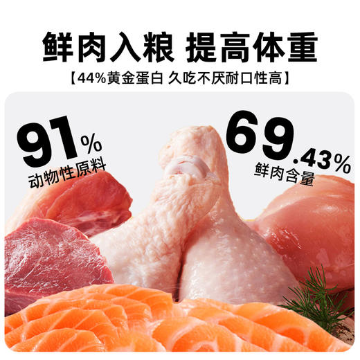 【单袋】whycat冻干猫粮 商品图1