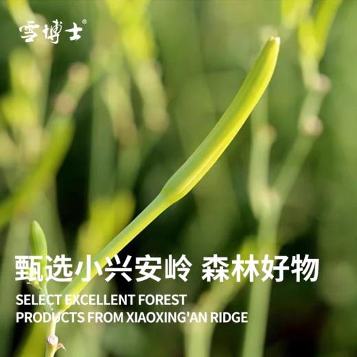 雪博士有机黄花菜200g 商品图3