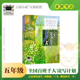 窗前的母亲 百班千人71期五年级5年级名师推荐课外书必读正版授权
