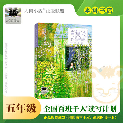 窗前的母亲 百班千人71期五年级5年级名师推荐课外书必读正版授权 商品图0