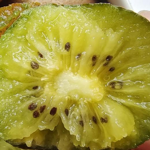 有机种植大别山金寨鸭嘴翠玉猕猴桃  （不打蜡、不催熟）开箱即食 商品图3