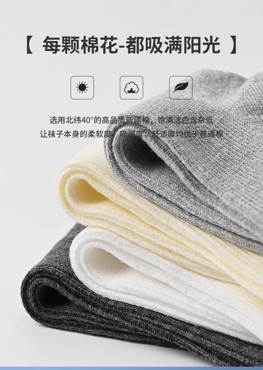 细条双针中筒袜FC2189 商品图3