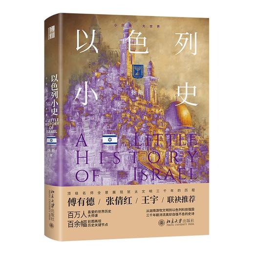 以色列小史 徐新 著 北京大学出版社 小历史·大世界 商品图0