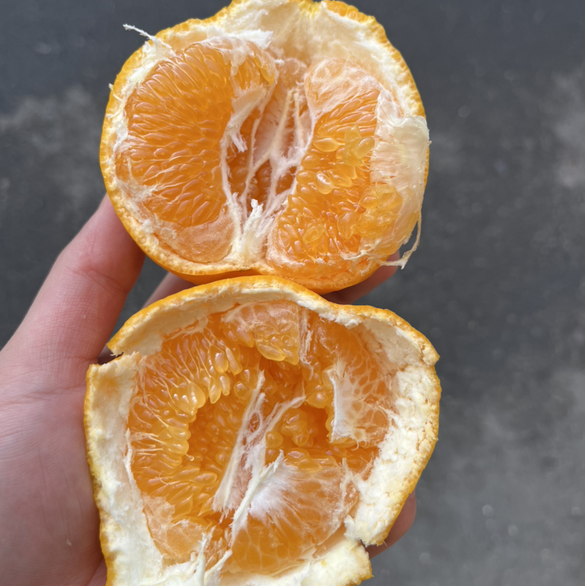 【春见】高山春见（耙耙柑）不知火！入口甜美，果衣薄，口感甜无酸！