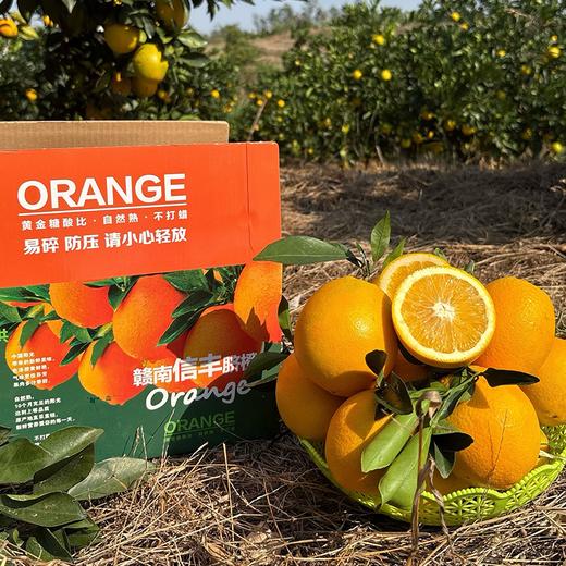 金奖赣南脐橙 土质好 橙味足 还有助农实惠好价 商品图1