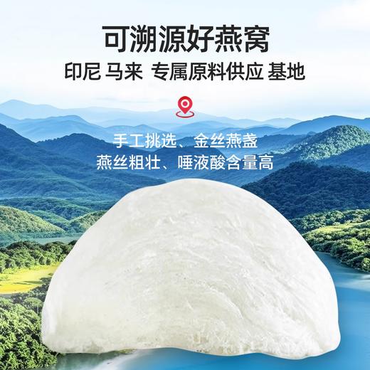 【每瓶2g投料量】燕大师燕大师鲜炖燕窝45g/瓶固形物80%周套餐直降！买 7 瓶送 1 瓶 到手 8 瓶 现炖现发新鲜直达 商品图4