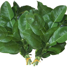 LE的黑色韩国单背包