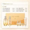 Whoo后拱辰享紧塑水乳套装礼盒护肤6件套 紧塑弹润水150ml/20ml  +紧塑弹润乳110ml/20ml  +净澈洁面膏40ml  +紧塑弹润霜10ml 紧致弹润保湿 商品缩略图9
