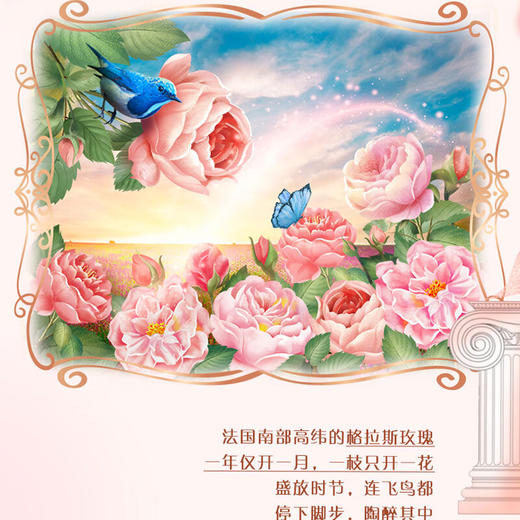 立白大师香氛天然洗衣皂208克*3块 商品图4