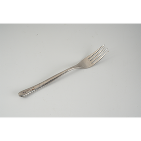 Comtio纯钛大餐叉2号本色