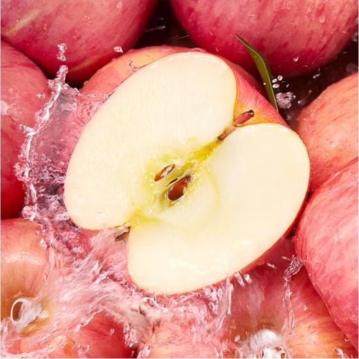 栖霞苹果2.5kg 商品图4