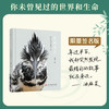 油麻菜老师丨生而有灵（首批签名版）   关于动物生命和爱的书 有温度/朴素/悲欣交加的书 假日阅读摄影手记 油麻菜老师著【不参与其他活动】 商品缩略图0
