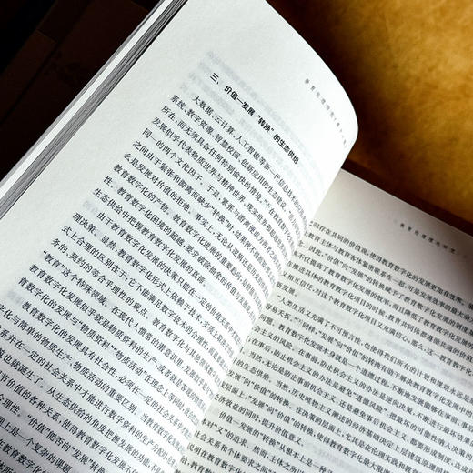 教育伦理研究  第十一辑 王正平 冯建军 商品图10