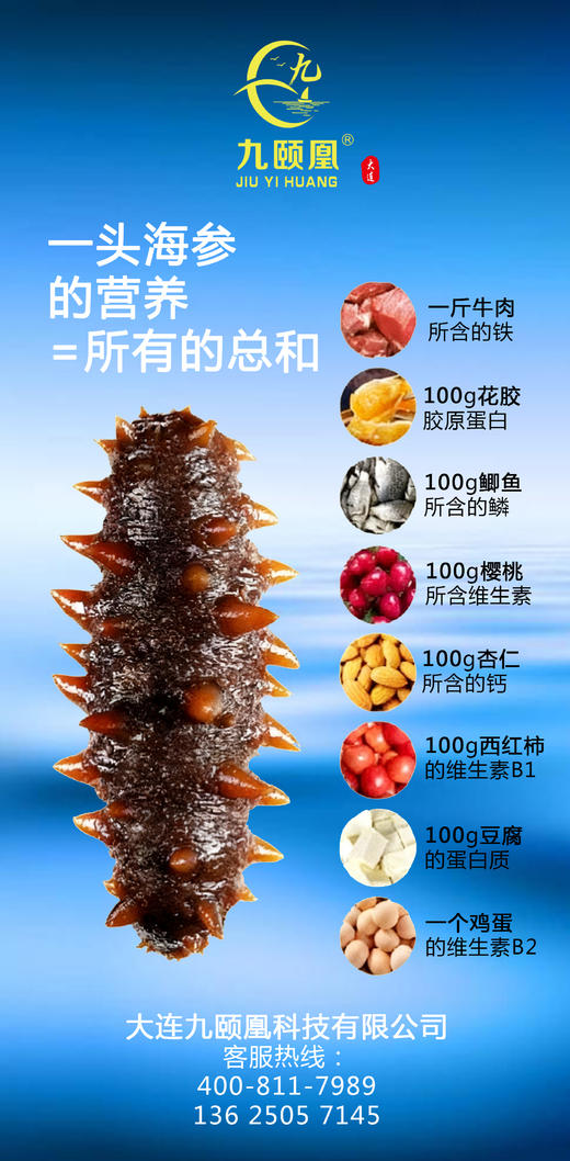 【分销】九颐凰即食海参（Q弹款），选用7年以上辽刺参，个头大、品相好、营养更丰富 商品图1