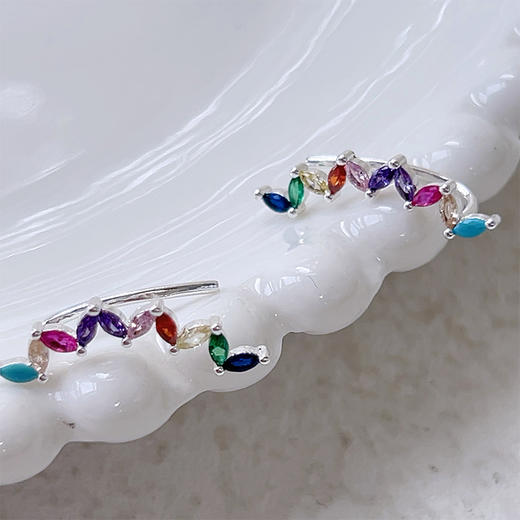 多种颜色形状耳钩耳环纪念日百货门店同款-163001286 商品图1