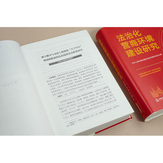 法治化营商环境建设研究 中共上海市委全面依法治市委员会办公室编 法律出版社 商品图5