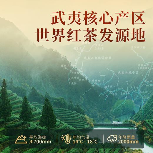 【口粮茶】皇叙大红袍金骏眉武夷肉桂茶小罐装茶叶礼盒口粮自己喝 商品图5