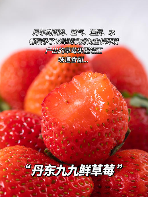 【精品水果】醉西子｜自然熟丹东九九草莓 精选自然熟头茬果 商品图5