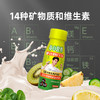 【赵又廷同款】味动力每日营养益生菌维矿乳饮品14种维生素矿物质13种果蔬（混合莓果味）180ml*10瓶 商品缩略图2