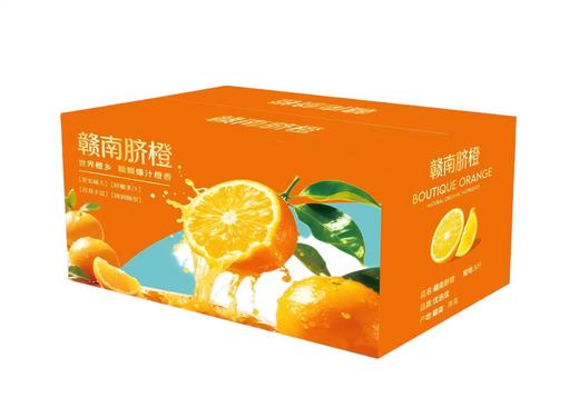 赣南脐橙4.5kg 商品图0