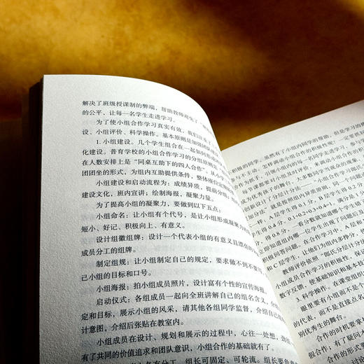 做个懂教学的校长 大夏书系 学校领导力 校长教学领导力 商品图11