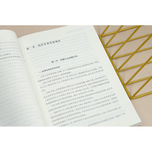 民营企业权益保护与维权途径 秦文涛著 秦文涛著 商品图4