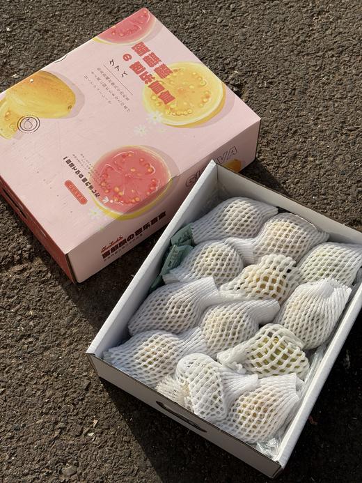 草莓红心奶油芭乐 商品图6