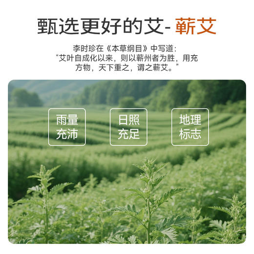 初心| 藏红艾灸贴身体贴 商品图4