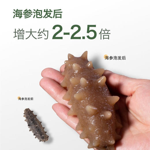 [獐子岛]黑盒有机淡干海参(50g/盒、120g/盒、258g/盒) 商品图2