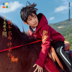 [屁侠推荐]森林棠 新年款儿童连帽卫衣 加绒插肩袖连帽卫衣20361062