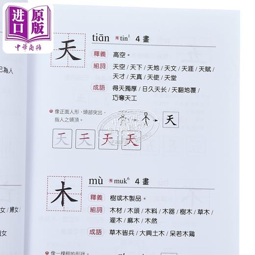 【中商原版】小学生写字字典 港台原版 商务印书馆编辑部 香港商务印书馆 语文工具书 商品图3