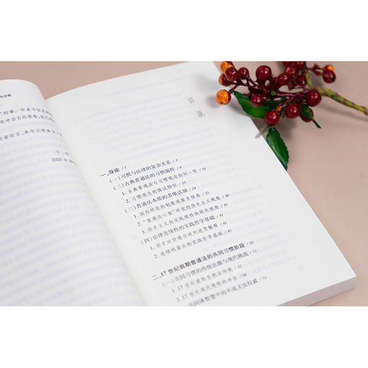 习惯的演进：基于十七世纪普通法思想史的考察与分析 王永祥著 法律出版社 商品图4