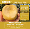 ² 溯源自然熟苹果3.5斤起【很丑但很甜】山西地理标志冰糖心红富士/Baby果维纳斯 不套袋 HM02-CRMM-QQNC 商品缩略图3
