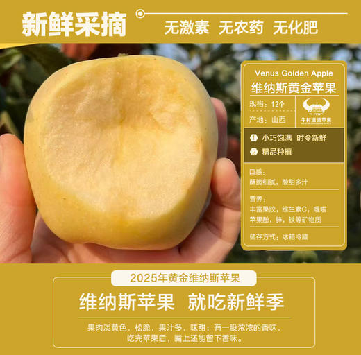 ² 溯源自然熟苹果3.5斤起【很丑但很甜】山西地理标志冰糖心红富士/Baby果维纳斯 不套袋 HM02-CRMM-QQNC 商品图3