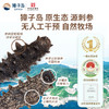[獐子岛]黑盒有机淡干海参(50g/盒、120g/盒、258g/盒) 商品缩略图3
