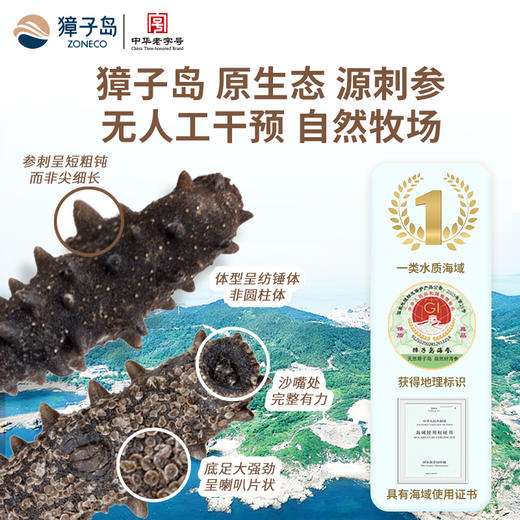 [獐子岛]黑盒有机淡干海参(50g/盒、120g/盒、258g/盒) 商品图3