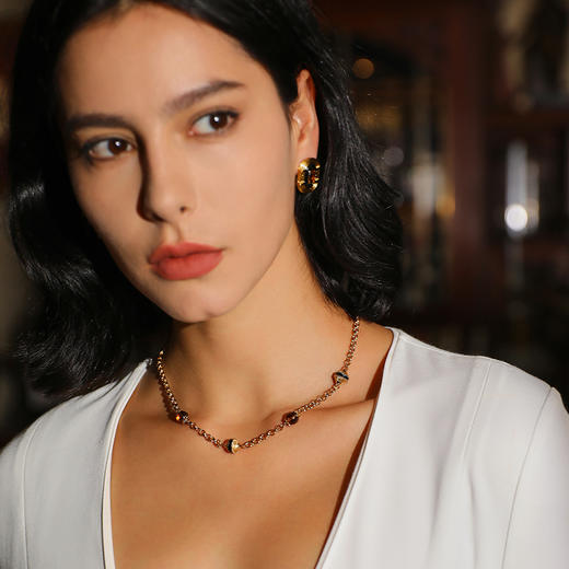 【赵丽颖同款】Ancient Rome古罗马时期 | 罗马盾牌骑士项链 商品图3