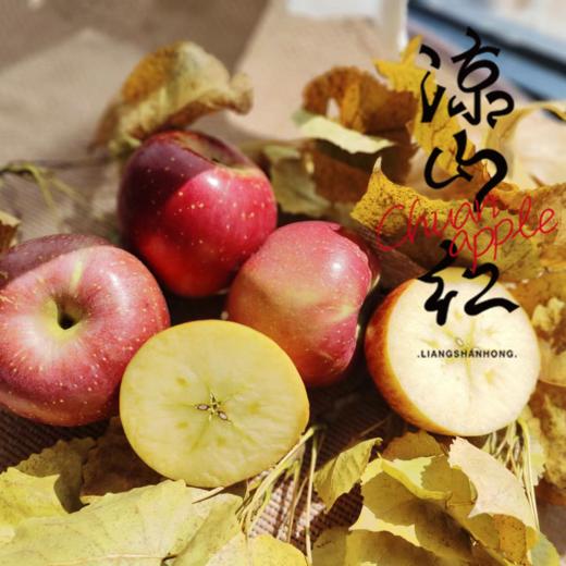 心选丨大凉山高原苹果高海拔苹果糖心率高现摘现发产地直邮 商品图0