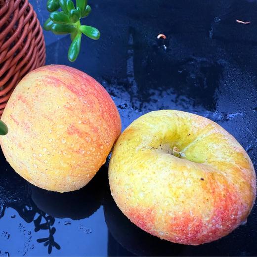 李立君苹果生态满满苹果 烟台栖霞生态种植当季新鲜水果【顺丰包邮】 商品图4