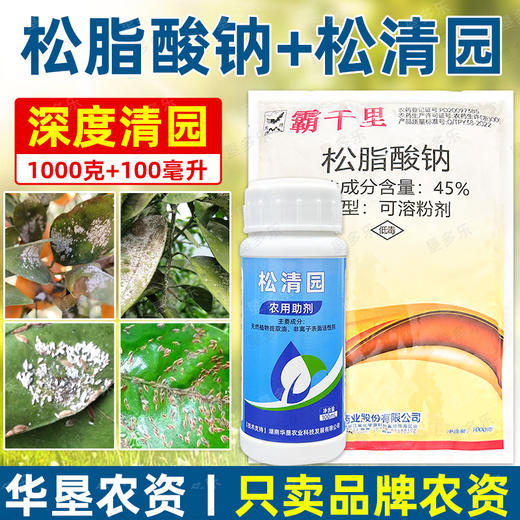 45%松脂酸钠纳松清园大鹏松树脂整袋松精油正牌清园剂杀虫剂正品 商品图1