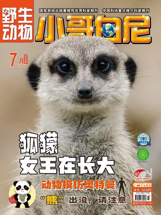 《小哥白尼.野生动物》| 52-156 | 月刊 | 2026年全年订阅（不可退订） 商品图2