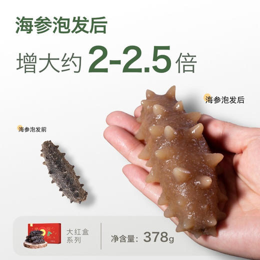 [獐子岛]红盒 干海参(50g/盒、378g/盒) 商品图1