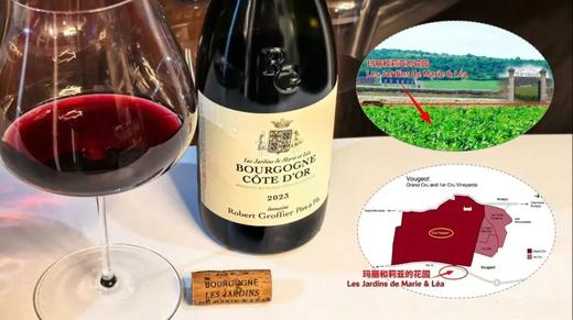 勃艮第鼎级名庄Robert Groffier 商品图1