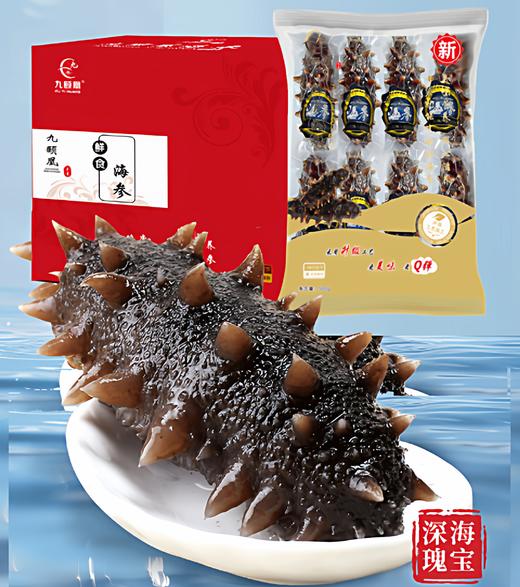 【分销】九颐凰鲜食海参（鲜嫩款），选用5年左右辽宁底播成年海参，个头大、品相好 商品图0