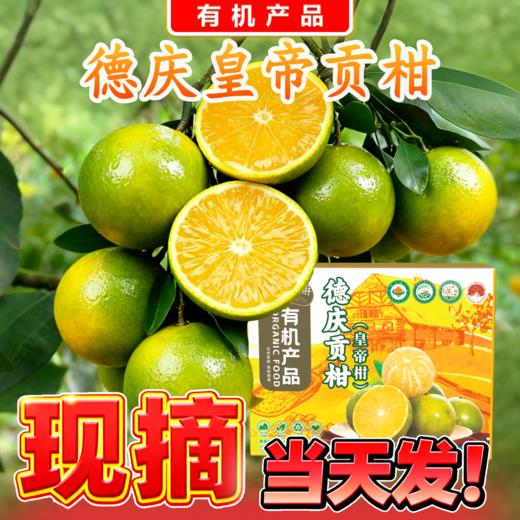 有机皇帝柑 商品图0